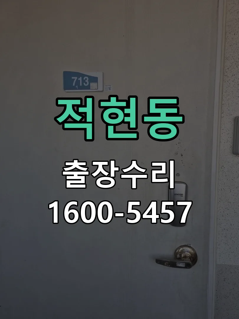 적현동 도어락 열쇠 출장 수리