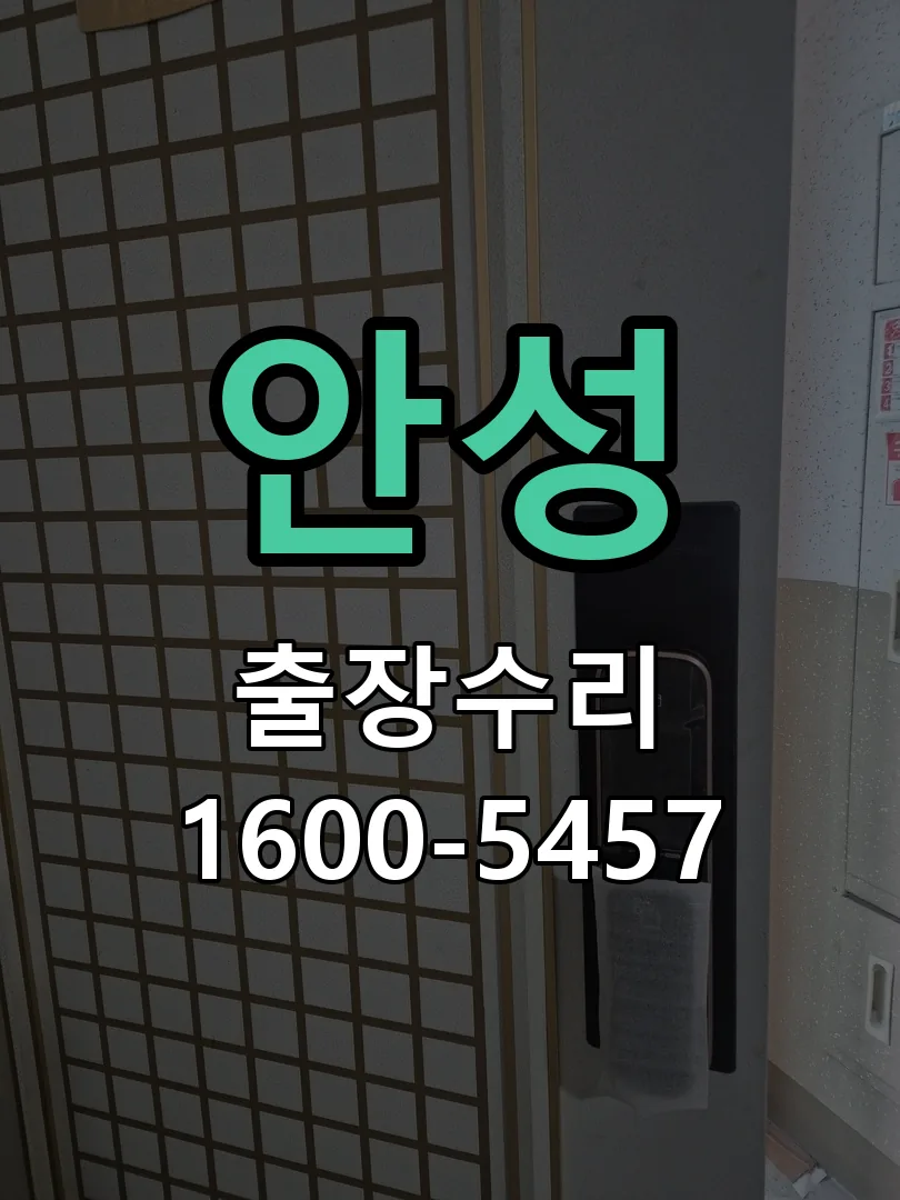 안성 잠금장치 동작 확인