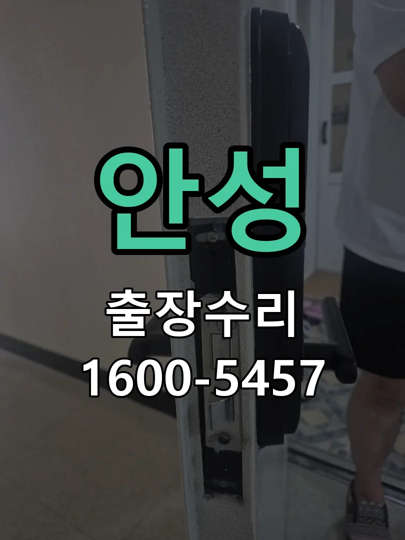 안성 배선·접점 정리