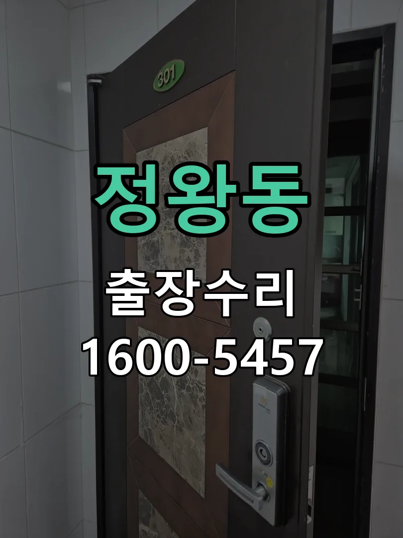 정왕동 잠금장치 동작 확인