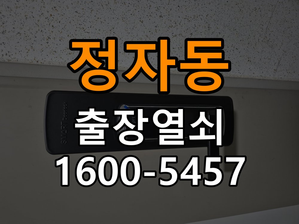 정자동 옥탑방 두꺼운 현관문에 맞는 도어락 설치 규격 확인 - 점검 전 확인사항 호환 설치 부품 정밀 점검 및 교체
