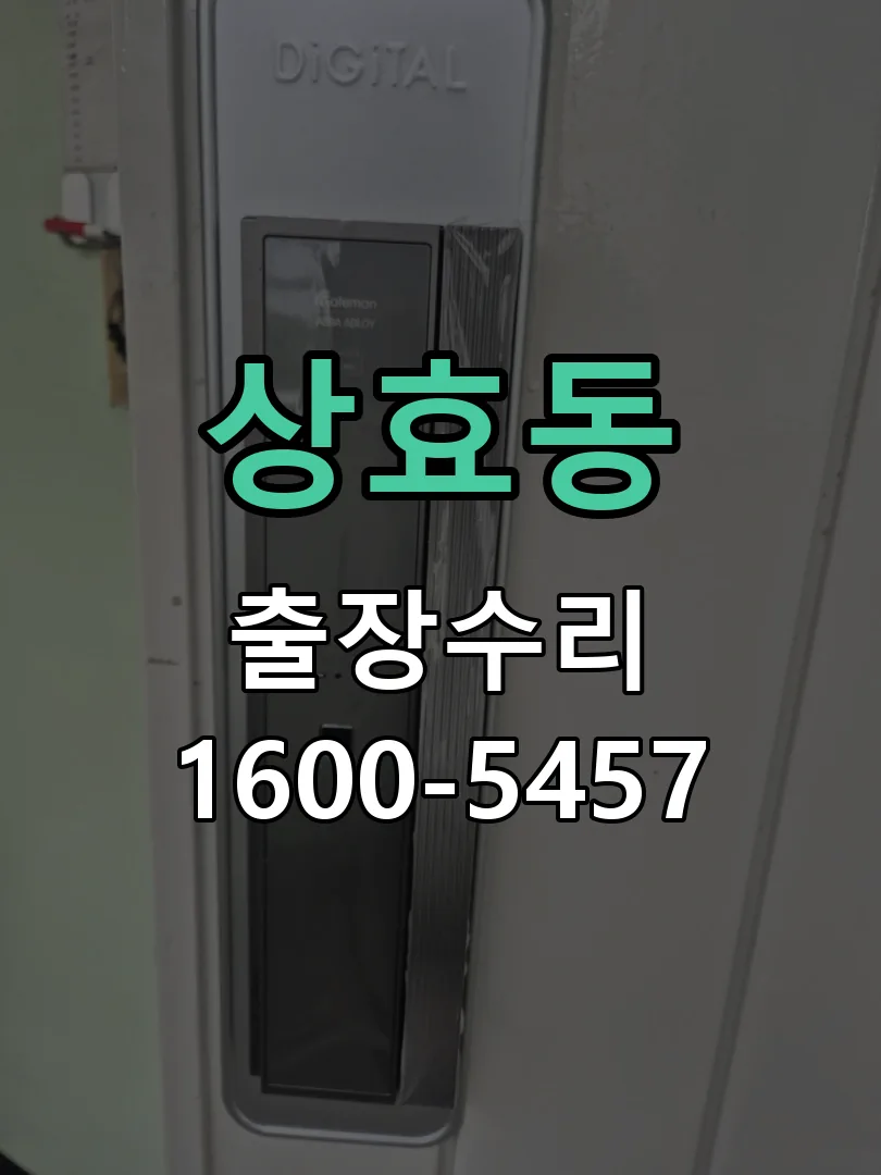 상효동 현장 도착 후 상태 확인