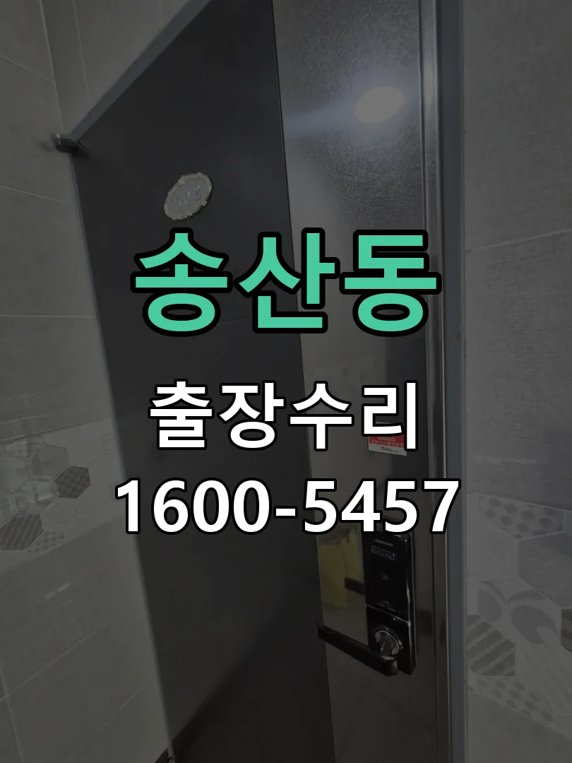 송산동 도어락 열쇠 출장 수리