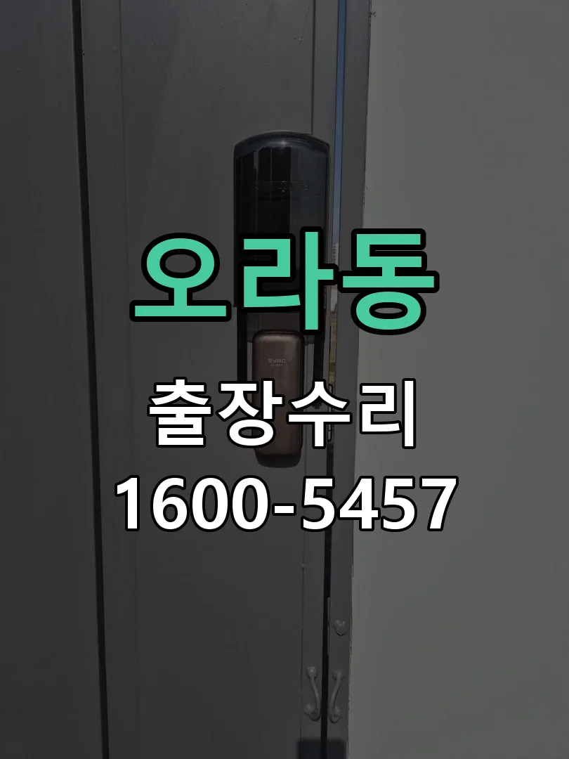 오라동 배선·접점 정리