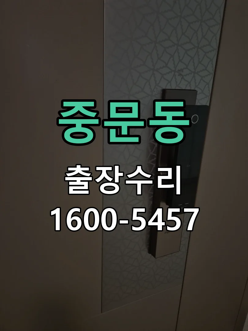 중문동 현장 도착 후 상태 확인
