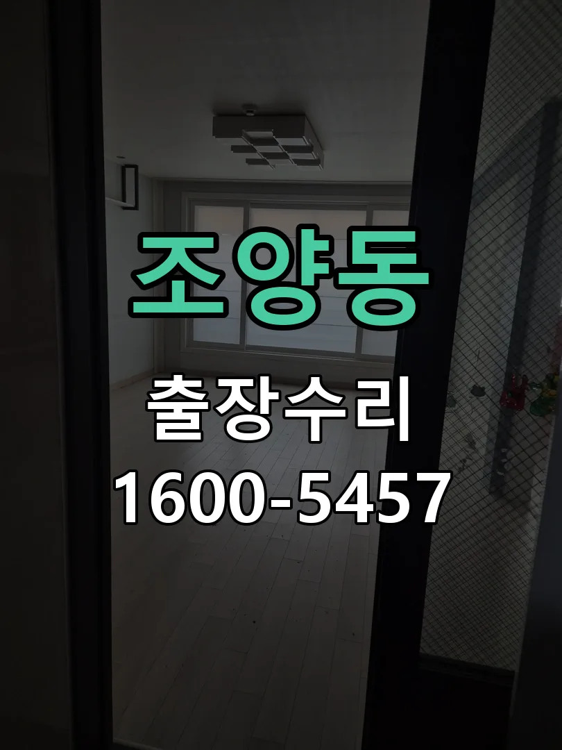 조양동 도어락 열쇠 출장 수리