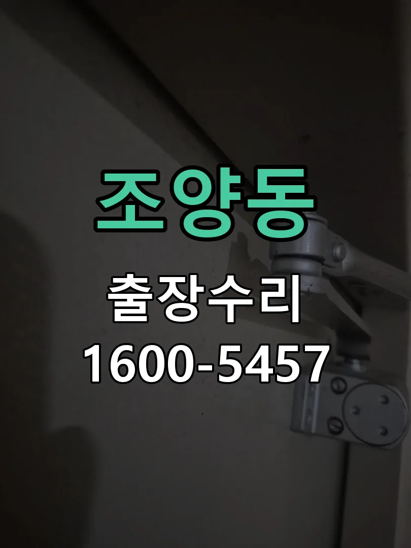 조양동 현장 도착 후 상태 확인