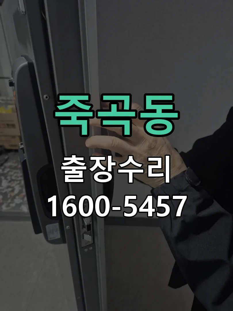 죽곡동 배선·접점 정리
