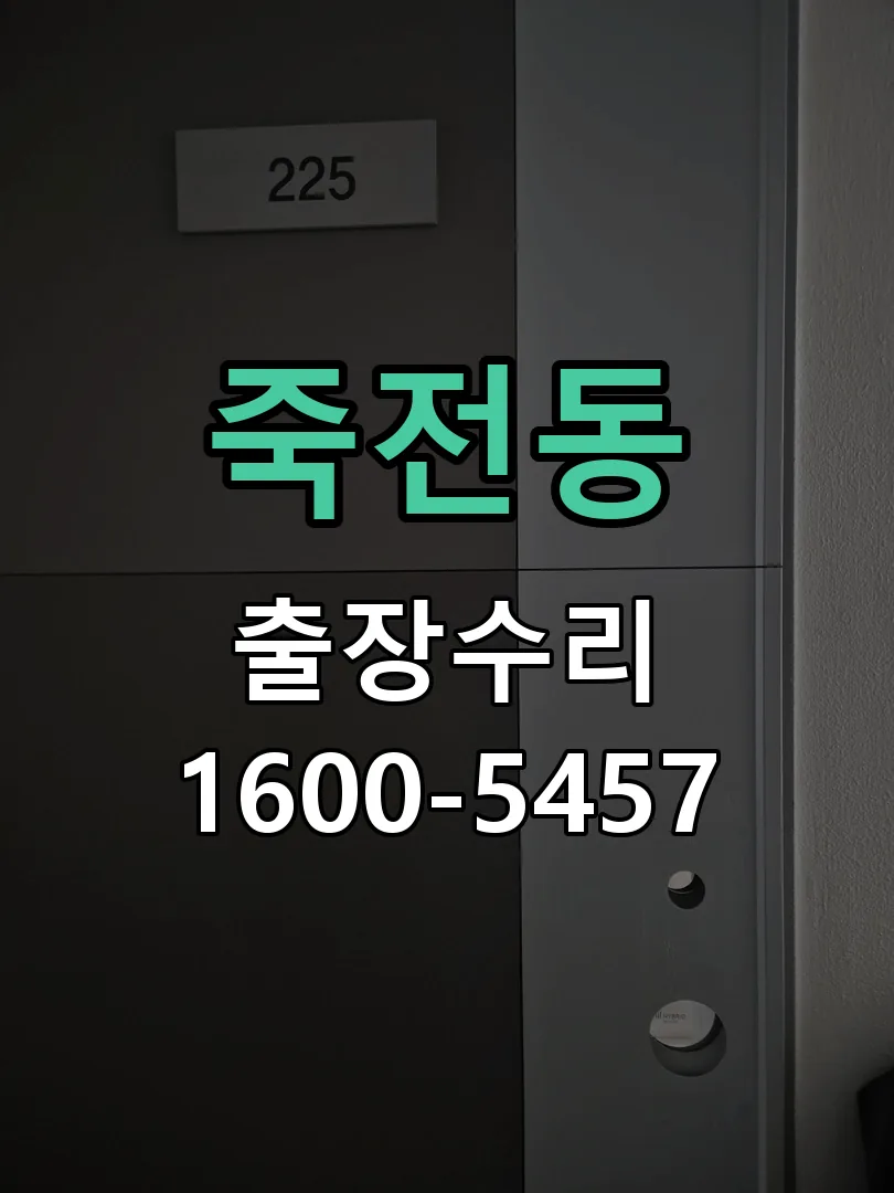죽전동 잠금장치 동작 확인
