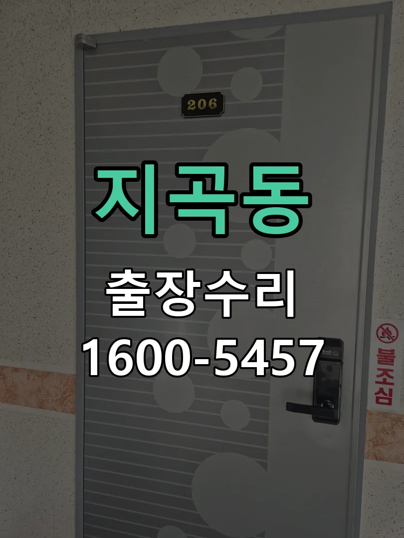 지곡동 도어락 열쇠 출장 수리
