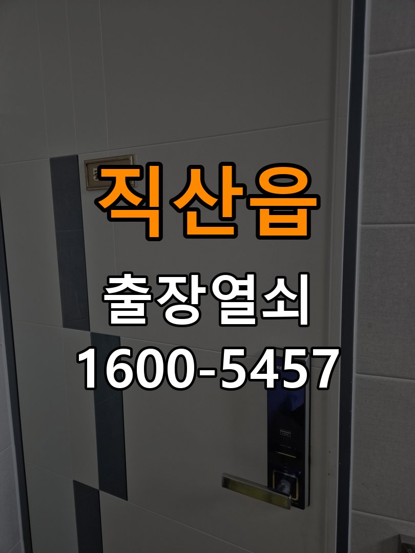 직산읍 열쇠 부러짐 키 실린더 교체 열쇠 구멍 안에서 키가 꺾여 부러진 채 박혀 문이 안 열림 현장 출장