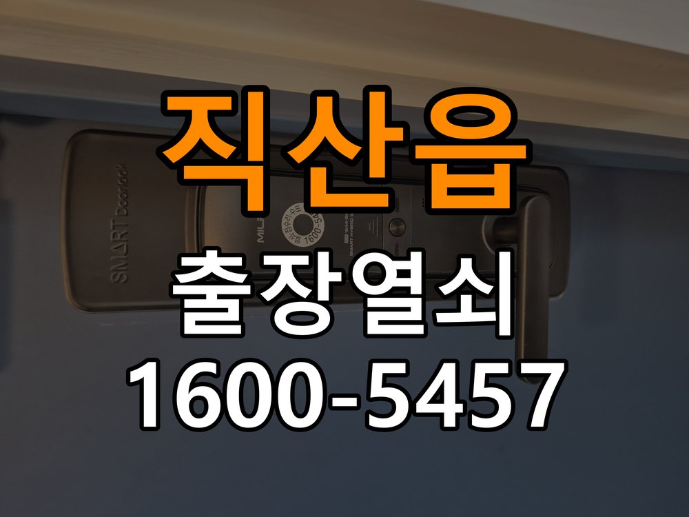 직산읍 열쇠 부러짐 키 실린더 교체 정밀 핀 실린더 뭉치 및 열쇠 3개 세트 정밀 점검 및 교체