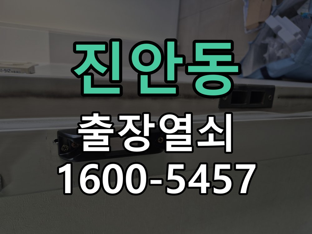 진안동 도어락 건전지 누액 단자 부식 청소 및 수리 부식 단자 화학 세척 및 스프링 전원 접점 재생 정밀 점검 및 교체