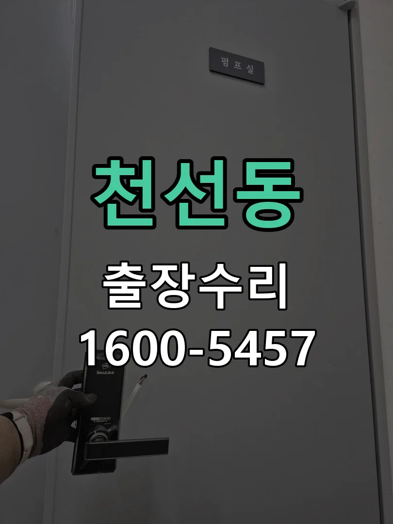 천선동 배선·접점 정리