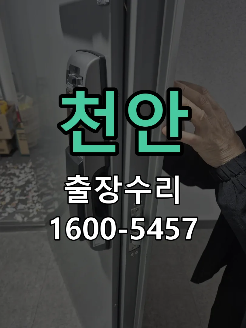 천안 잠금장치 동작 확인