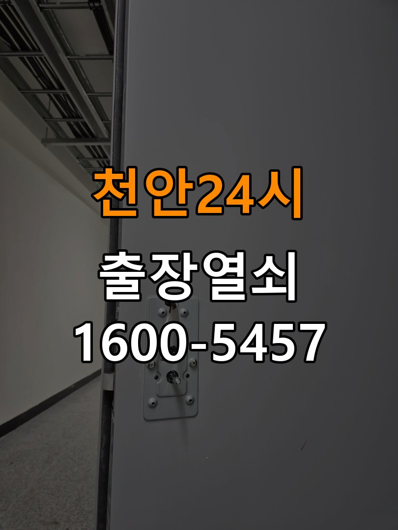 천안 24시 보조키 특수키 안전고리 추가 설치 특수 핀 실린더 보조키 및 빗장형 고급 안전고리 정밀 점검 및 교체