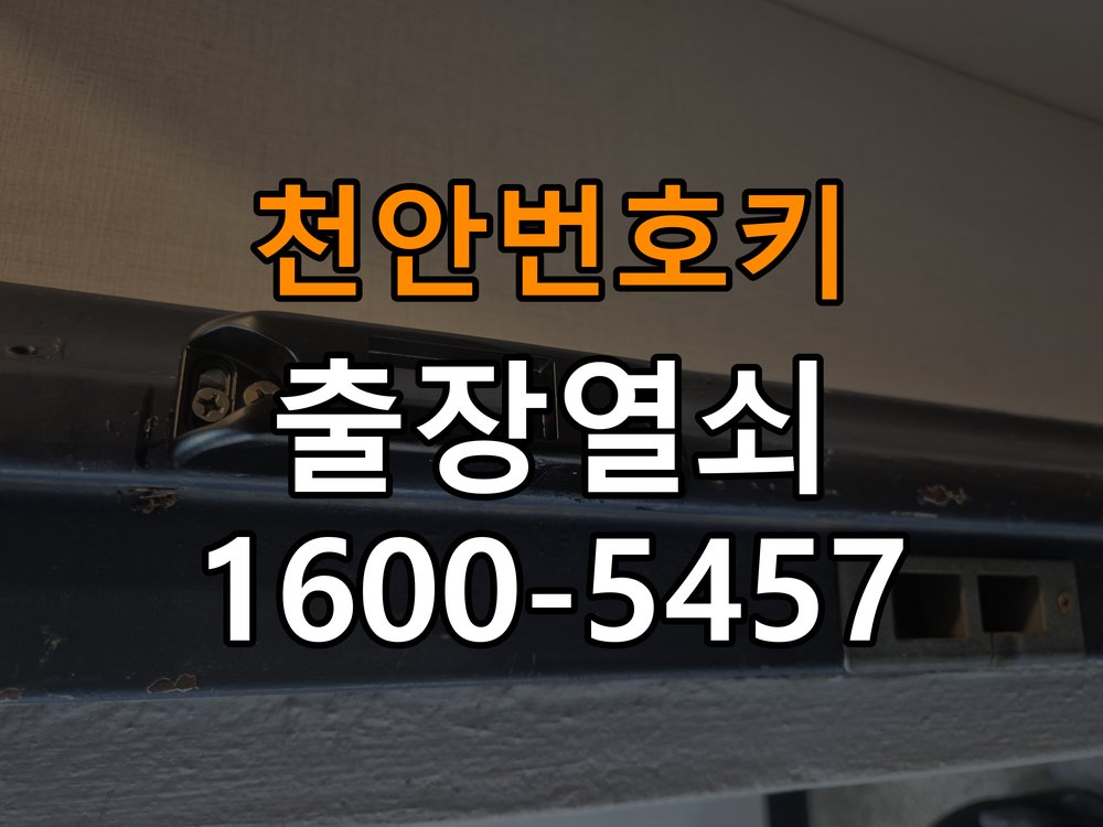 천안 번호키 도어락 건전지 누액 단자 부식 청소 및 수리 부식 단자 화학 세척 및 스프링 전원 접점 재생 정밀 점검 및 교체
