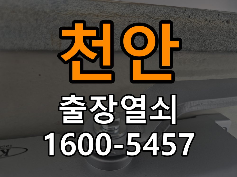 천안 창고 대문 개폐기 열쇠 고장 교체 주택 대문 개폐기 버튼을 눌러도 문이 열리지 않고 걸림 현장 출장
