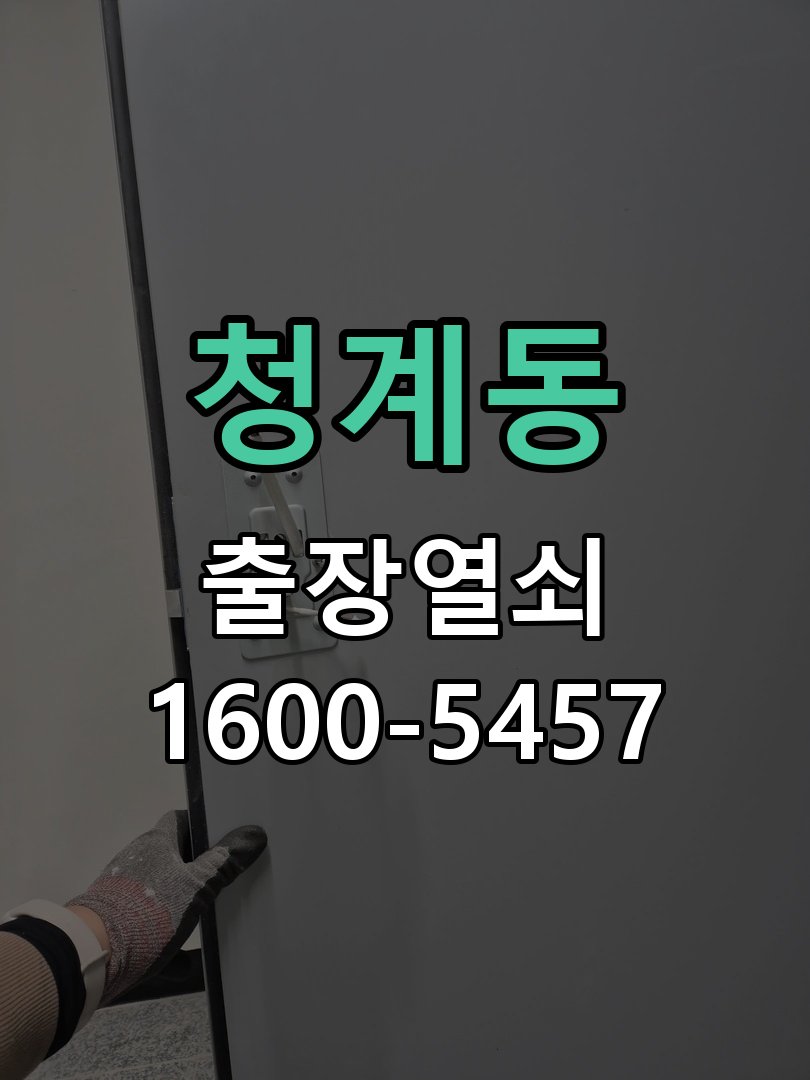 청계동 보조키 특수키 안전고리 추가 설치 특수 핀 실린더 보조키 및 빗장형 고급 안전고리 정밀 점검 및 교체