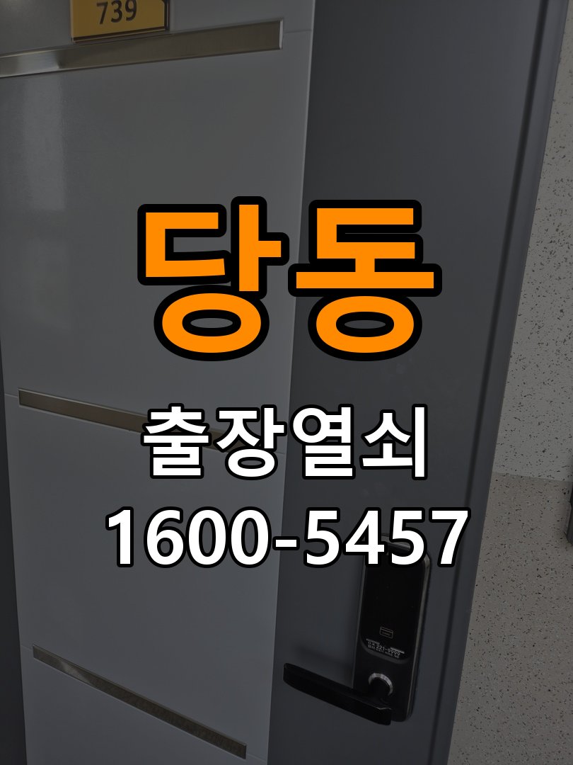 당동 창고 대문 개폐기 열쇠 고장 교체 주택 대문 개폐기 버튼을 눌러도 문이 열리지 않고 걸림 현장 출장