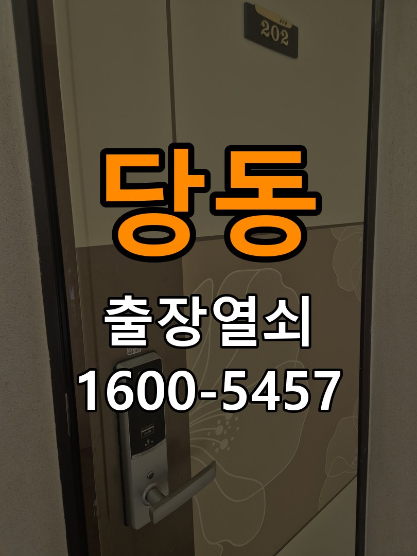 당동 창고 대문 개폐기 열쇠 고장 교체 AC 220V/DC 12V 호환 전자 대문 개폐기 정밀 점검 및 교체