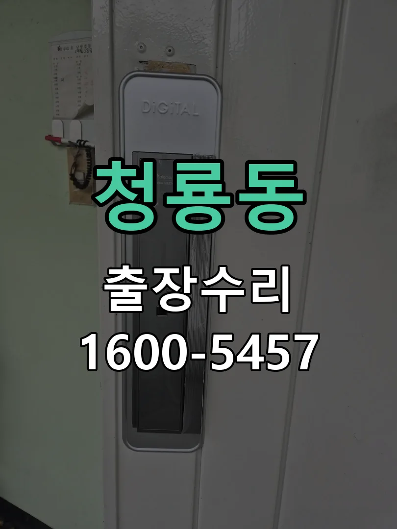 청룡동 배선·접점 정리