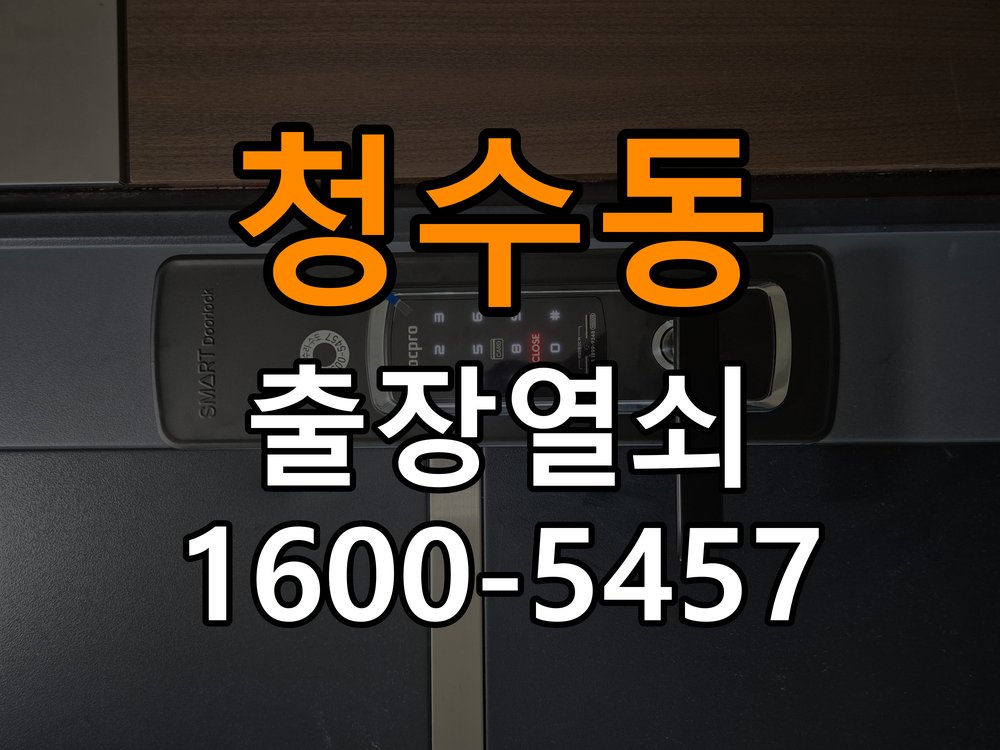 청수동 보조키 특수키 안전고리 추가 설치 도어락 외에 추가적인 이중 보안 잠금장치 필요 현장 출장