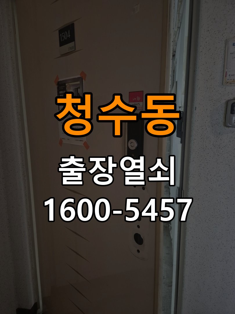 청수동 보조키 특수키 안전고리 추가 설치 특수 핀 실린더 보조키 및 빗장형 고급 안전고리 정밀 점검 및 교체