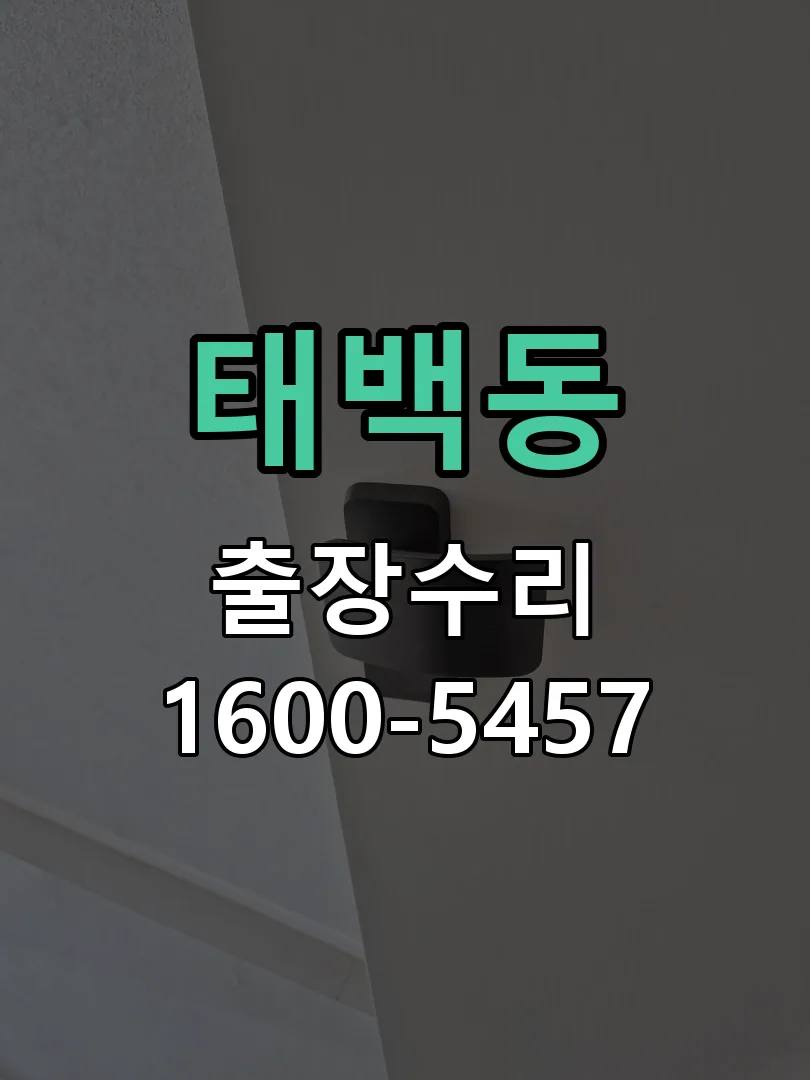 태백동 잠금장치 동작 확인