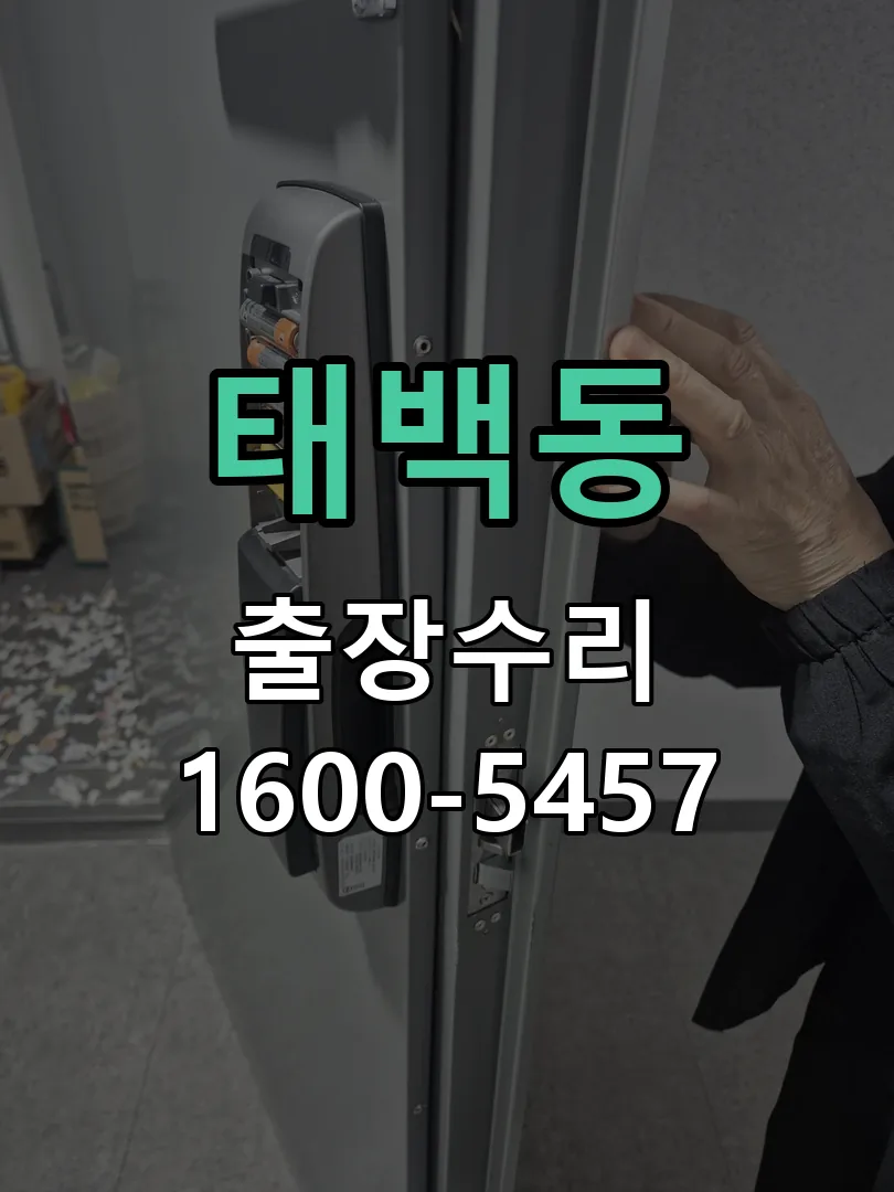 태백동 배선·접점 정리