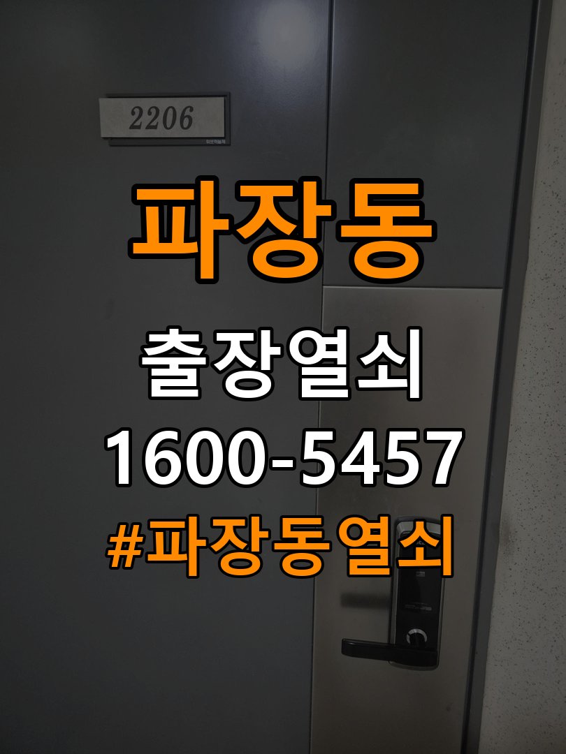 파장동 다세대주택 현관문 처짐 도어클로저 닫힘 속도 조절 - 점검 전 확인사항 K250 규격 유압식 방화문 도어체크 교체 정밀 점검 및 교체