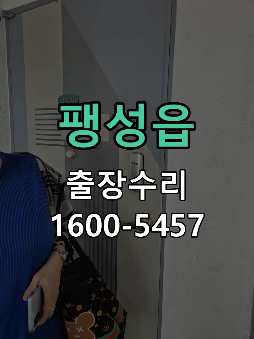 팽성읍 현장 도착 후 상태 확인