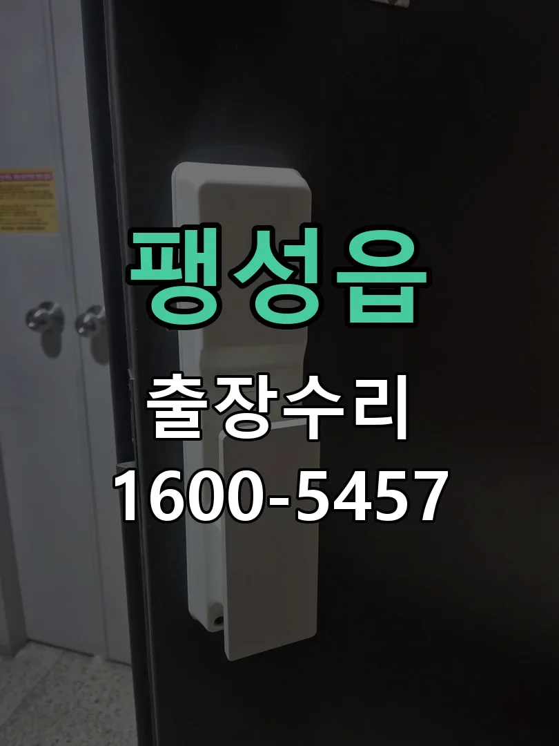 팽성읍 잠금장치 동작 확인