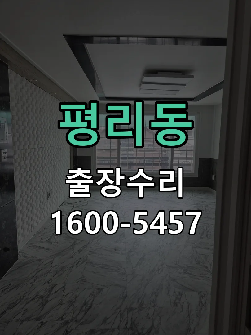 평리동 잠금장치 동작 확인