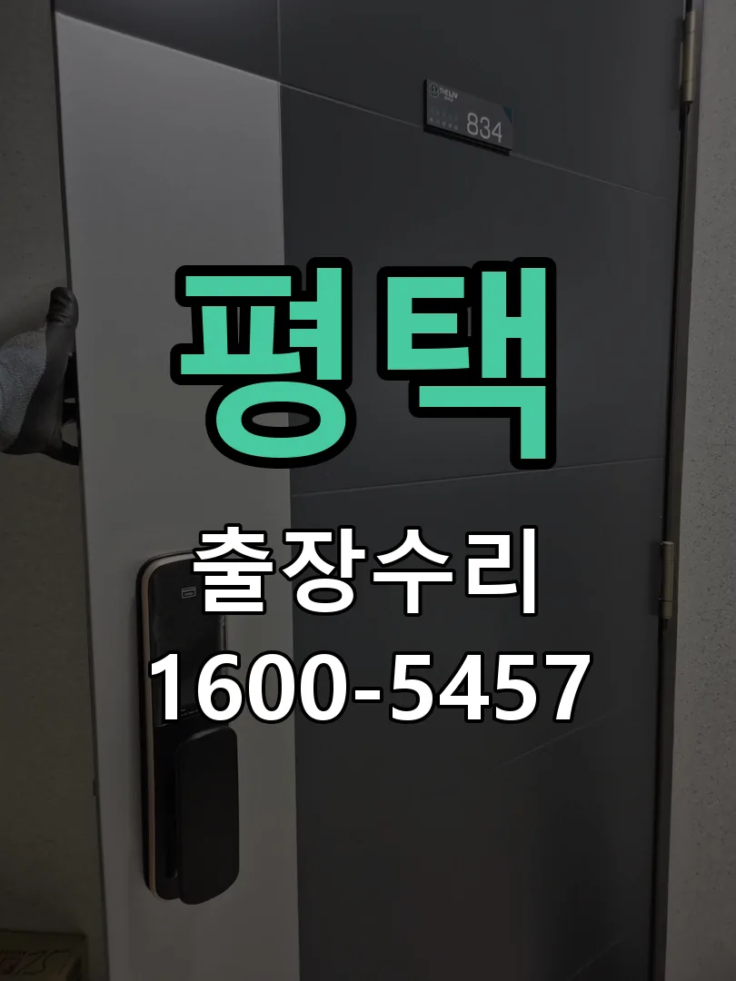 평택 잠금장치 동작 확인