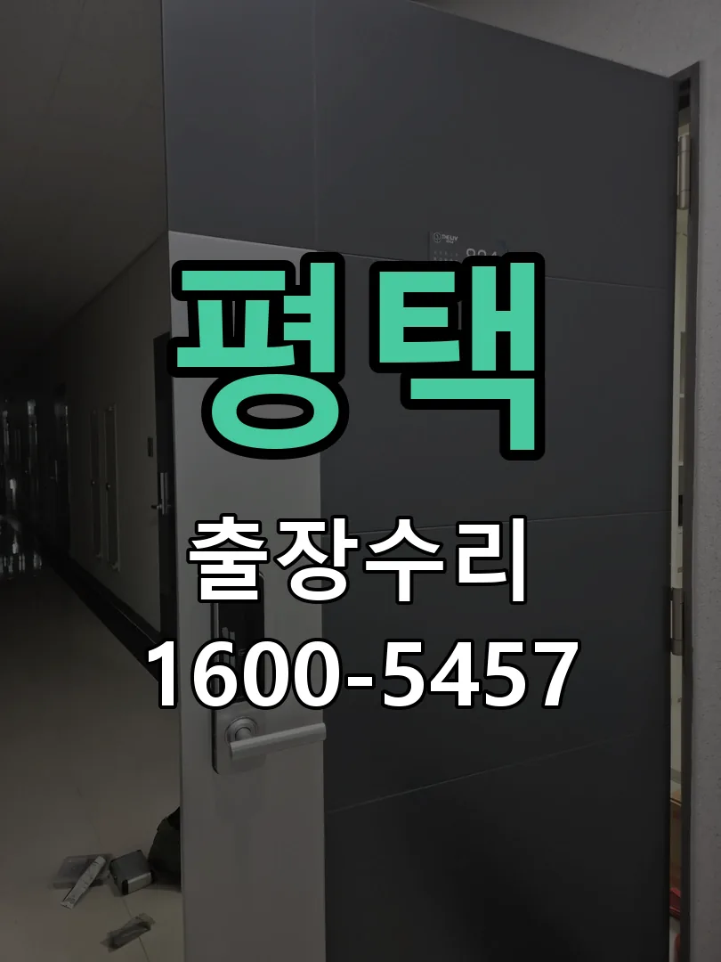 평택 잠금장치 동작 확인