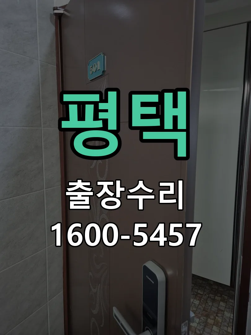 평택 잠금장치 동작 확인