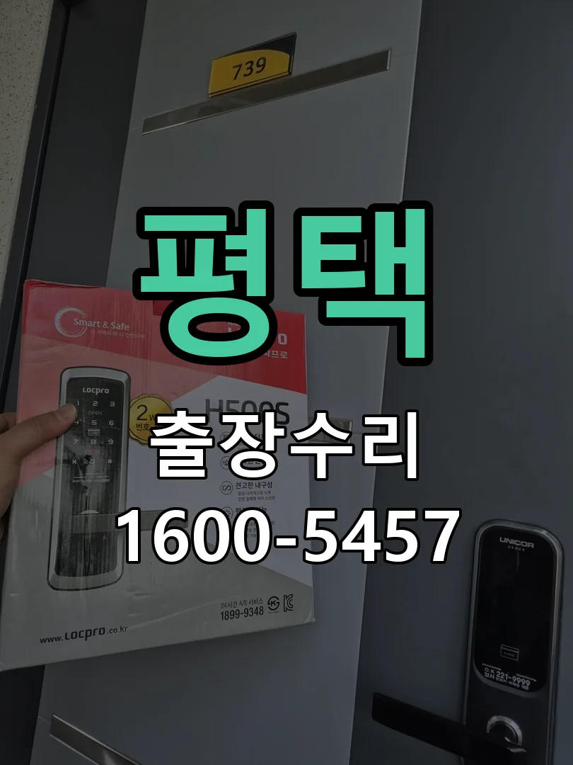 평택 배선·접점 정리