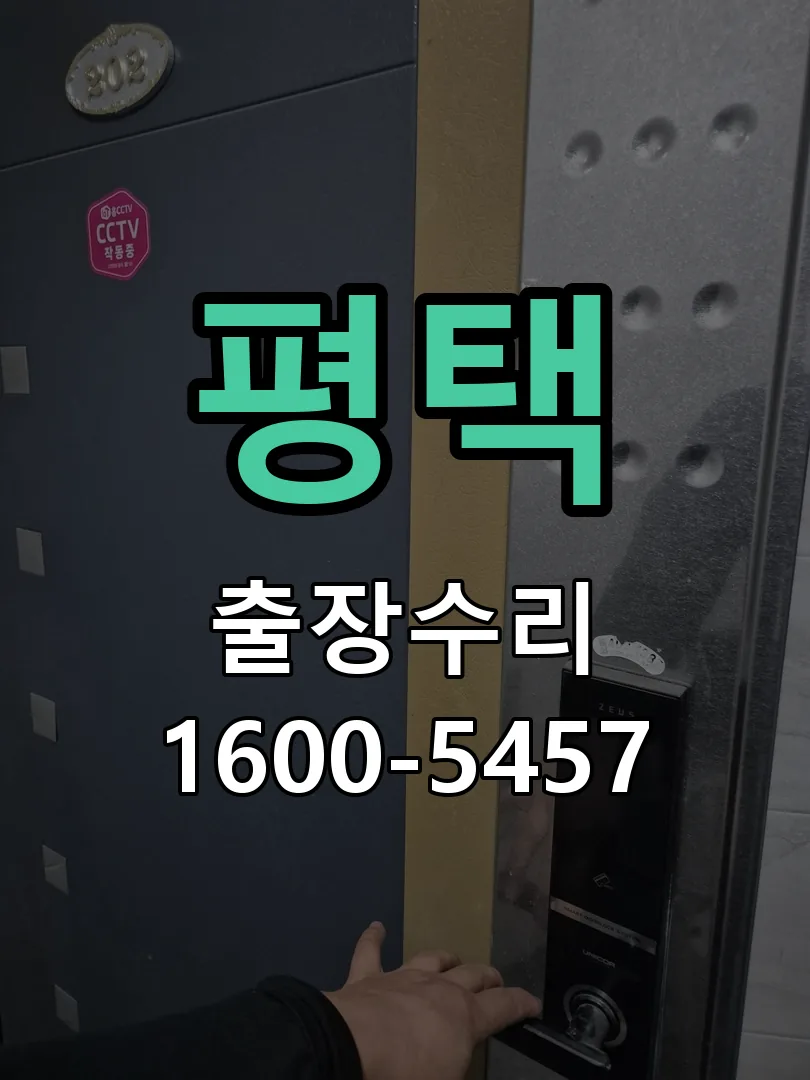 평택 잠금장치 동작 확인