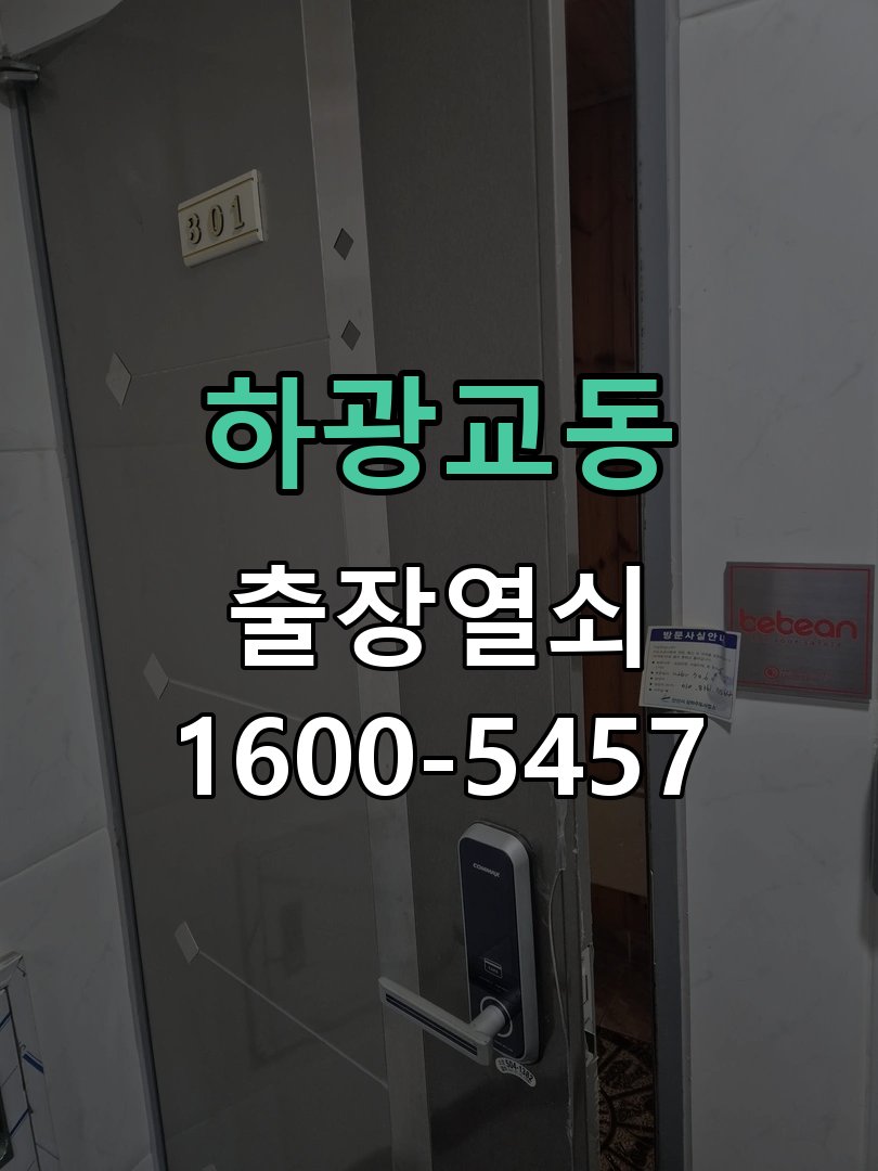 하광교동 푸시풀 핸들이 헛돌며 래치가 후퇴하지 않음 모티스 현장 점검 및 교체 작업