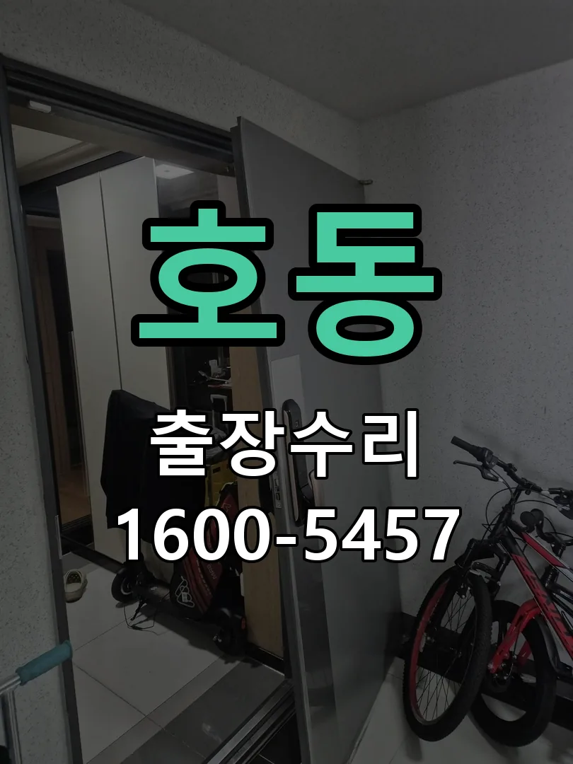 호동 배선·접점 정리