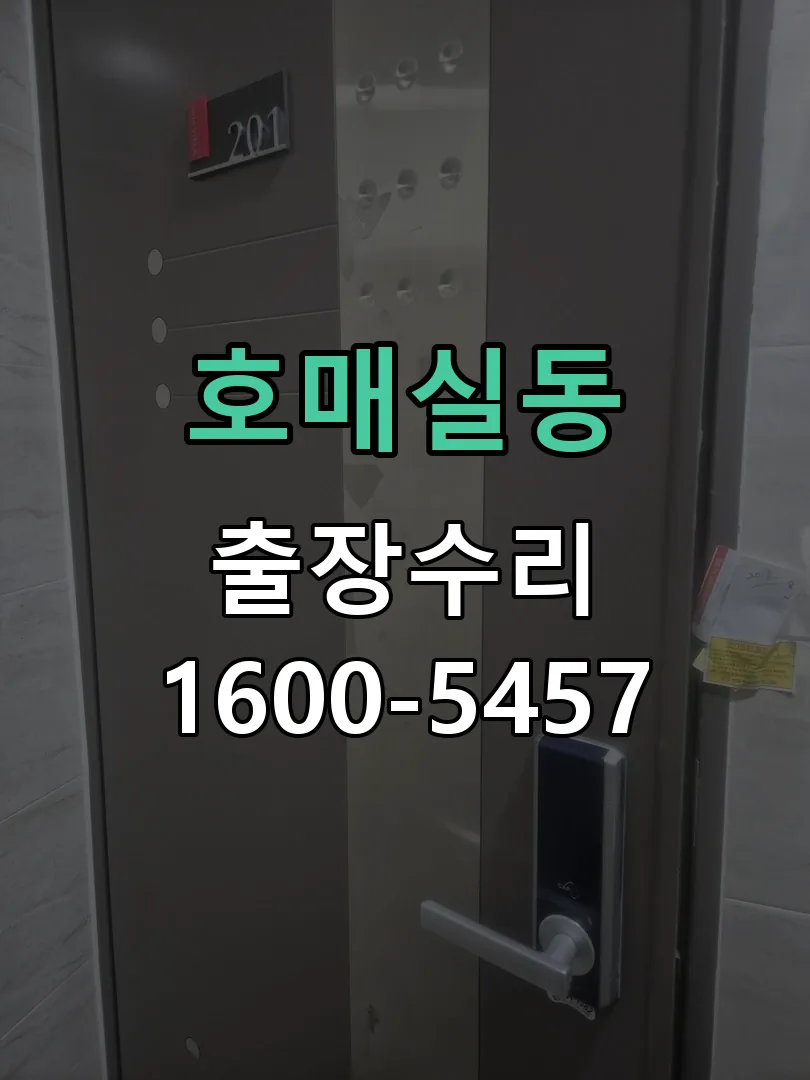 호매실동 도어락 열쇠 출장 수리