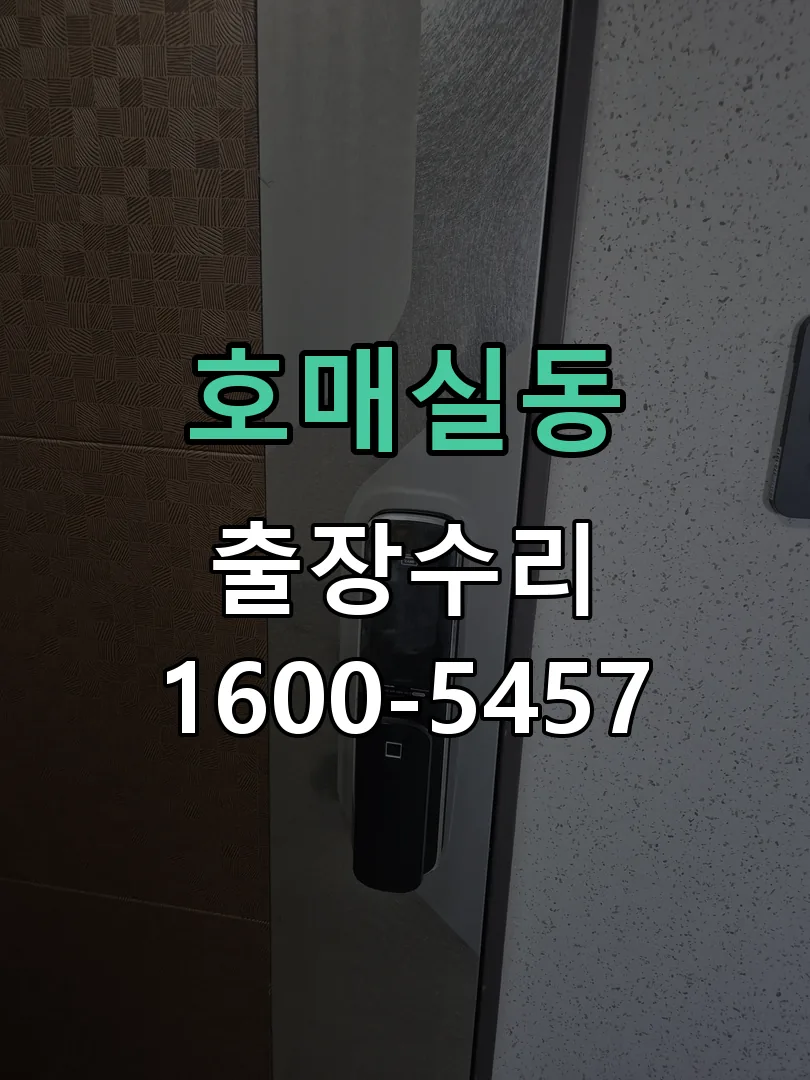 호매실동 현장 도착 후 상태 확인