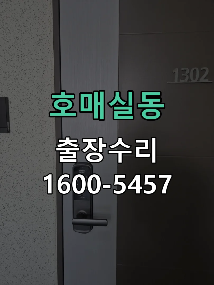 호매실동 잠금장치 동작 확인