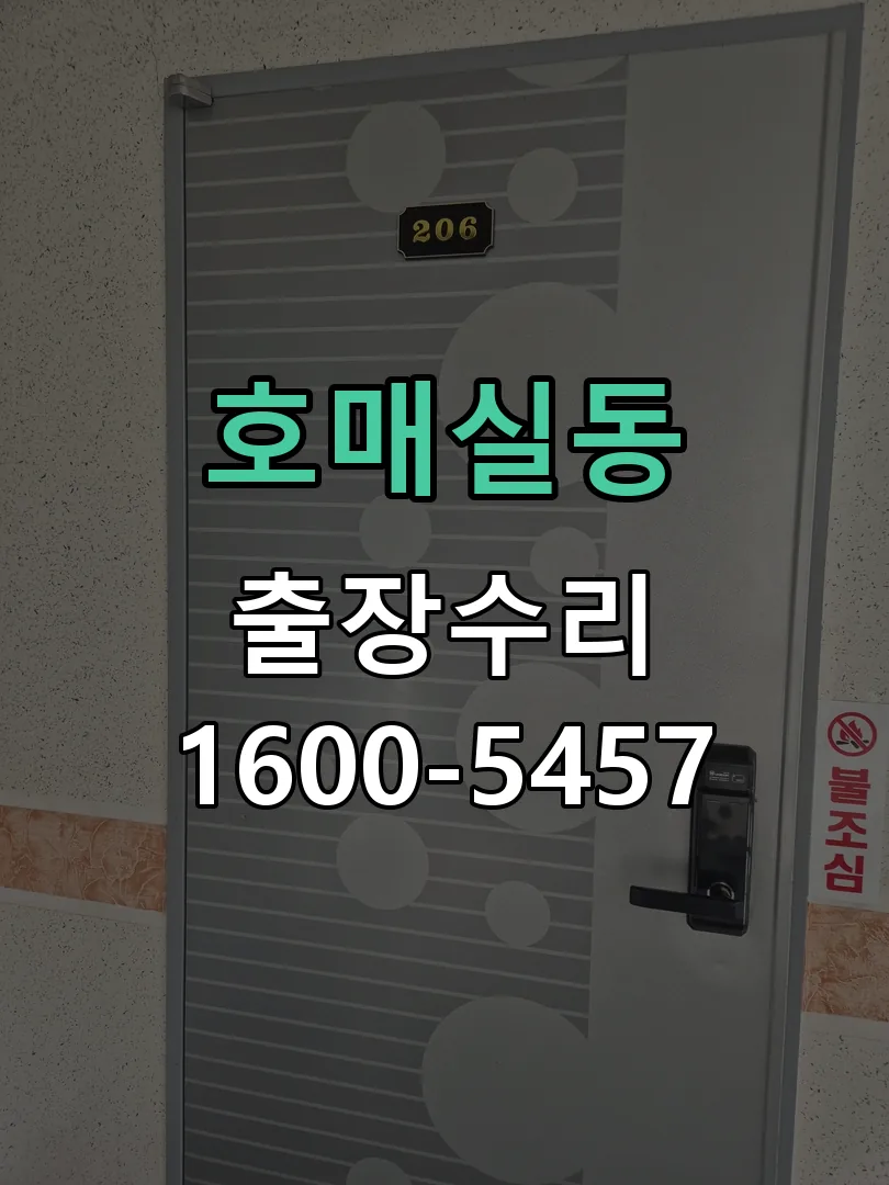 호매실동 배선·접점 정리