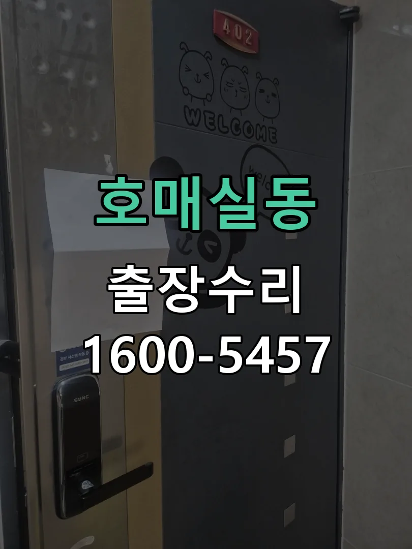 호매실동 도어락 열쇠 출장 수리