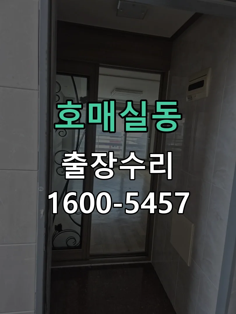 호매실동 현장 도착 후 상태 확인