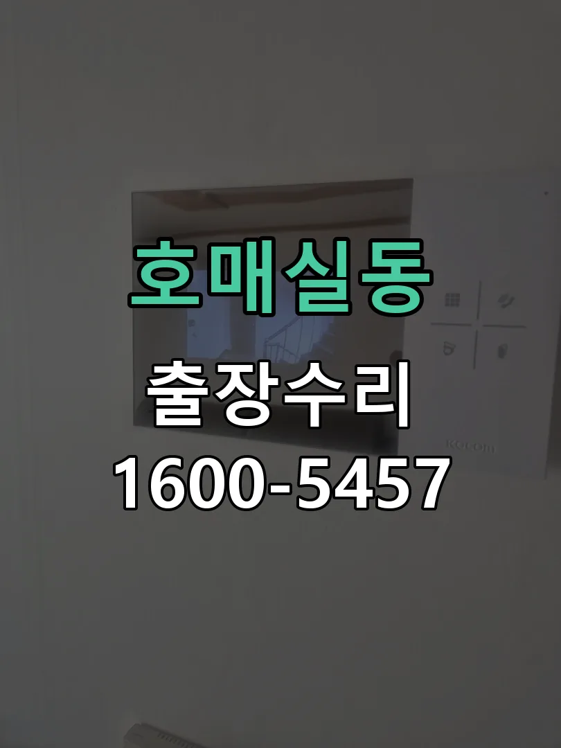 호매실동 잠금장치 동작 확인