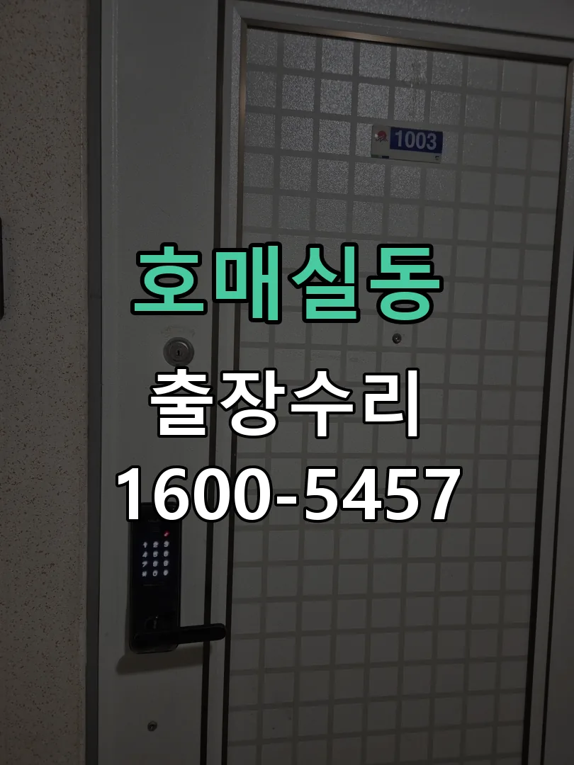 호매실동 도어락 열쇠 출장 수리