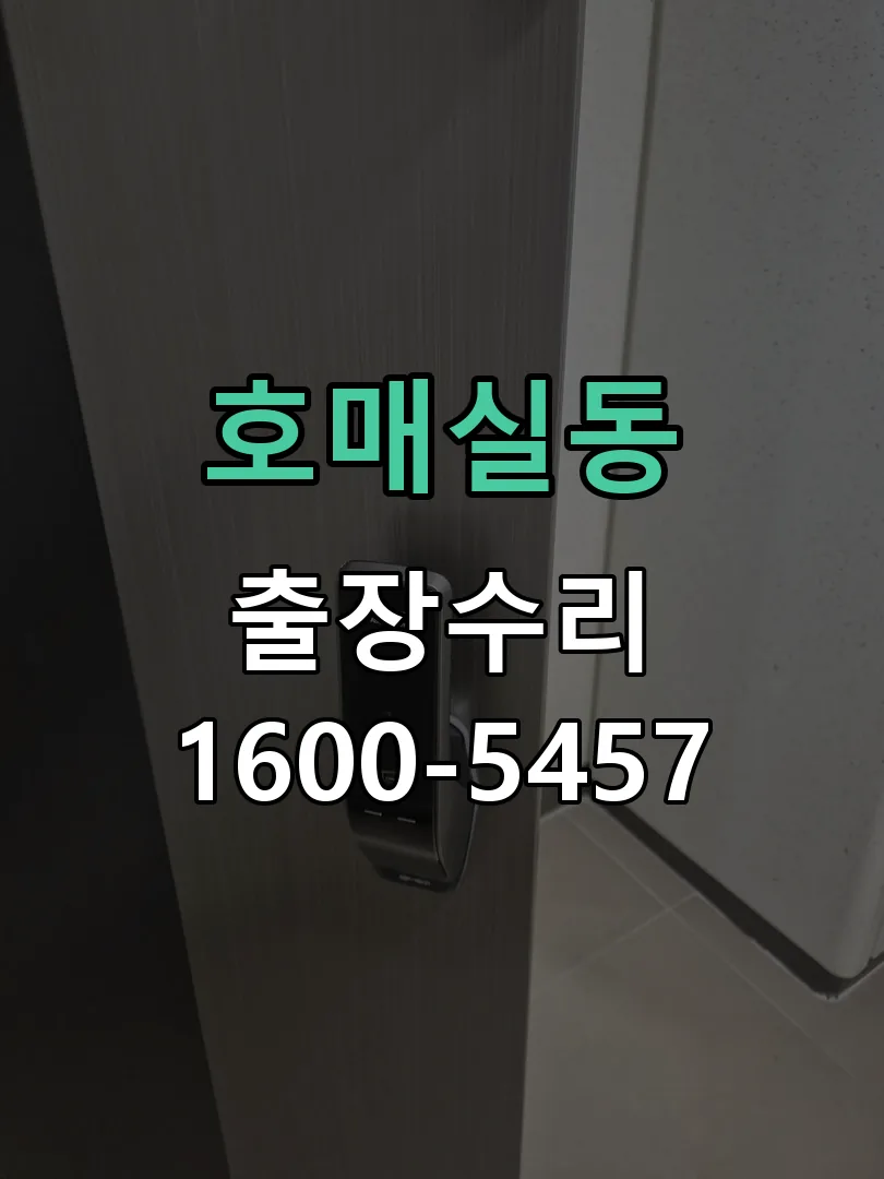 호매실동 현장 도착 후 상태 확인
